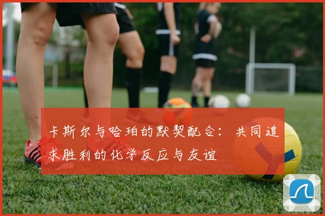 卡斯尔与哈珀的默契配合：共同追求胜利的化学反应与友谊