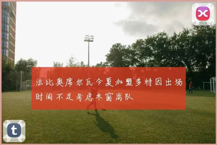 法比奥席尔瓦今夏加盟多特因出场时间不足考虑冬窗离队