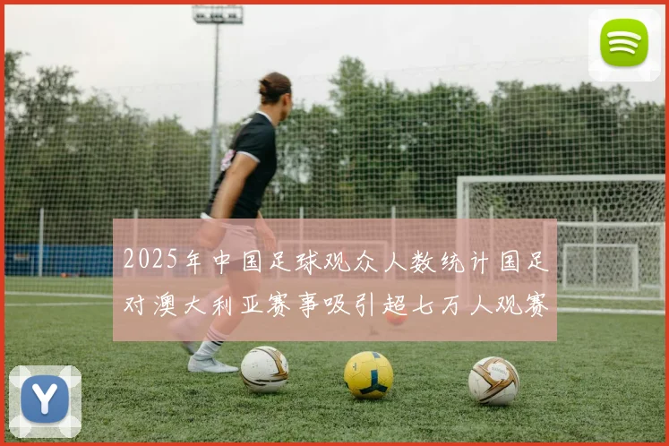 2025年中国足球观众人数统计国足对澳大利亚赛事吸引超七万人观赛
