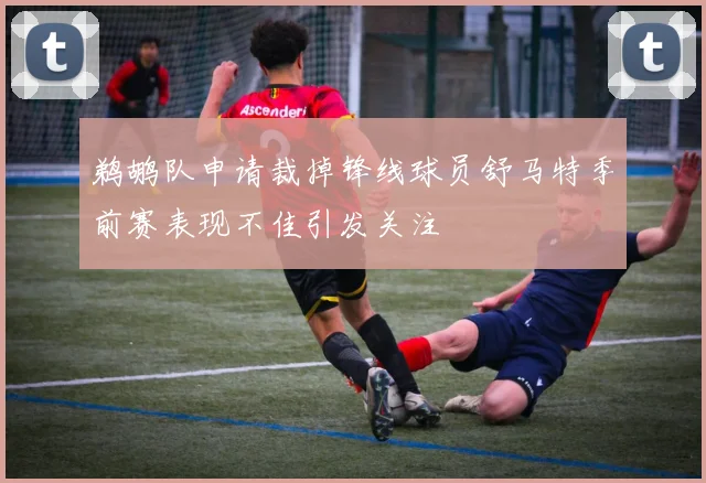 鹈鹕队申请裁掉锋线球员舒马特季前赛表现不佳引发关注