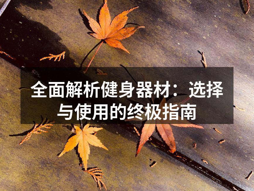 全面解析健身器材：选择与使用的终极指南